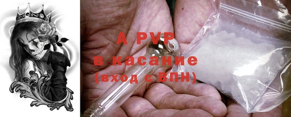 сатива Алзамай