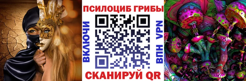 Псилоцибиновые грибы прущие грибы  маркетплейс наркотические препараты  Отрадная 